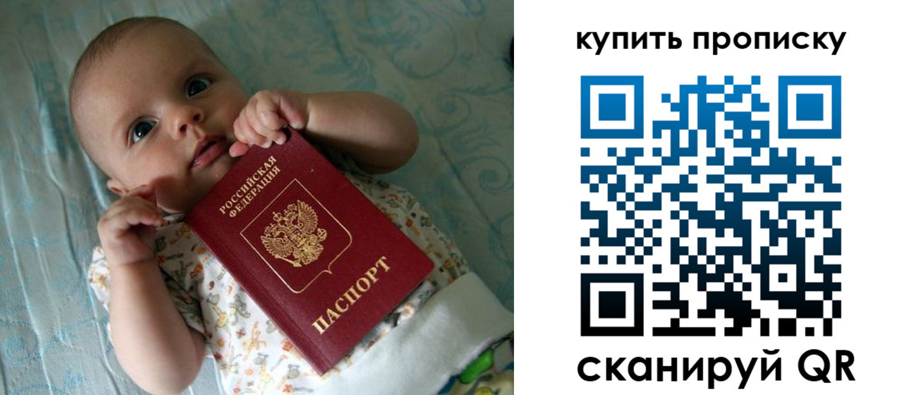 регистрация в Кингисеппе